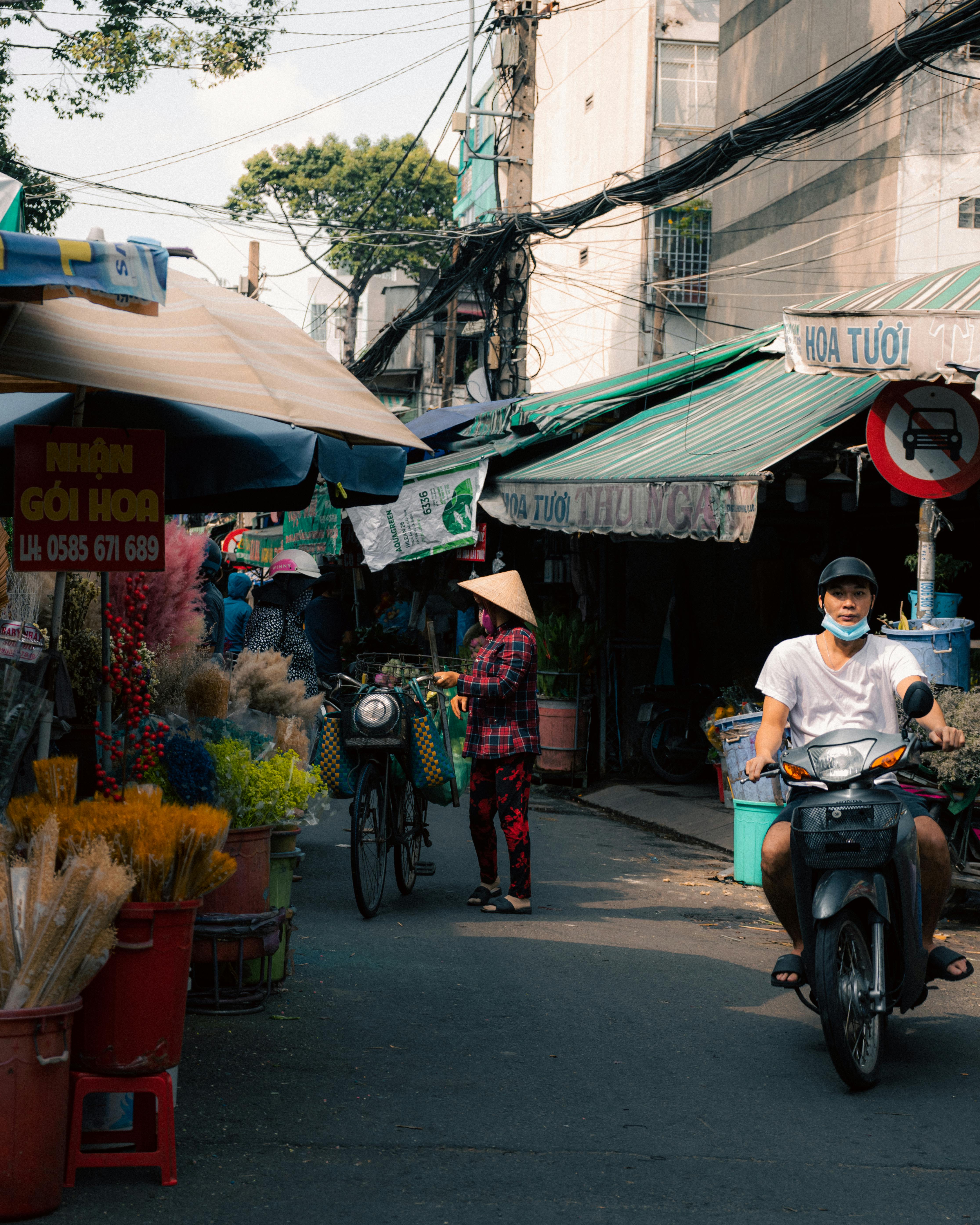 Đỗ Mạnh Hải
