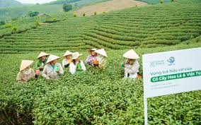 Bùi  Giang